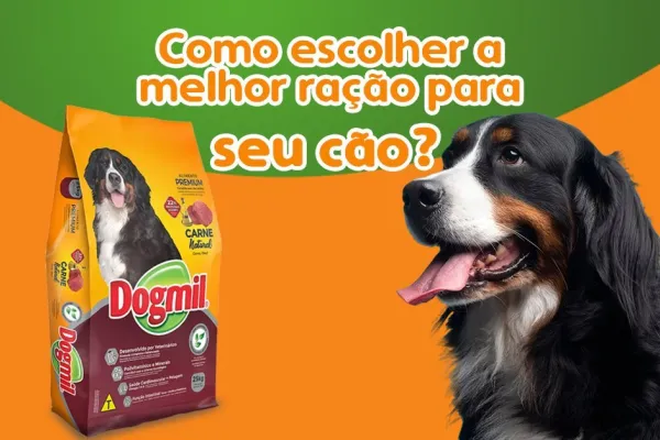 Como escolher a melhor ração para seu cão ?